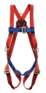 Picture of Freedom® Harness - 3 Steel D-rings