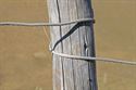 Picture of Used Fence Cable